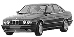 BMW E34 C20EE Fault Code